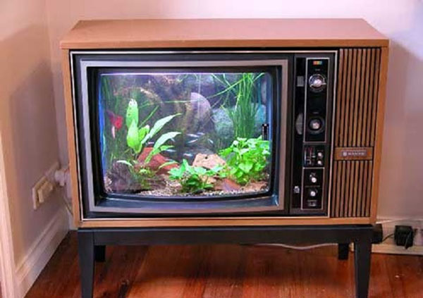 13. TV Fish Tank