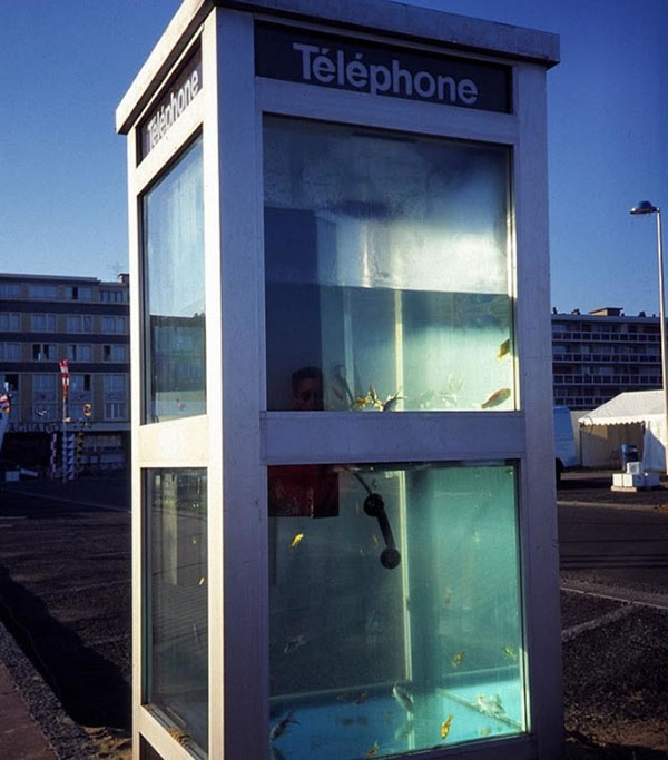 Telephone booth aquarium