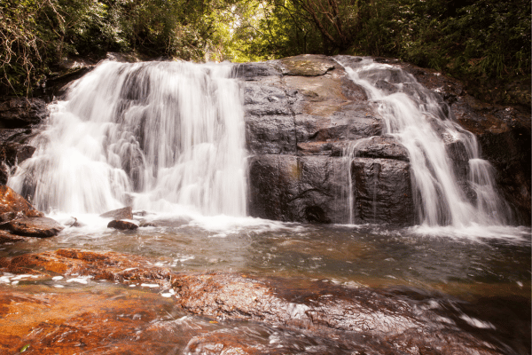 A waterfall in sinharaja rainforest - elanka
