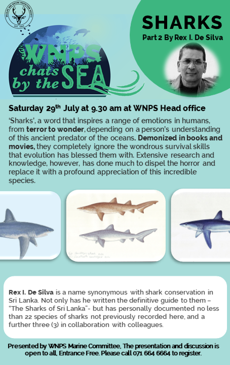 SHARKS OF SRI LANKA (PART 2) at WNPS Head Office – by Rex I. De Silva (Saturday 29 July 2023) (Sri Lanka – Colombo event)