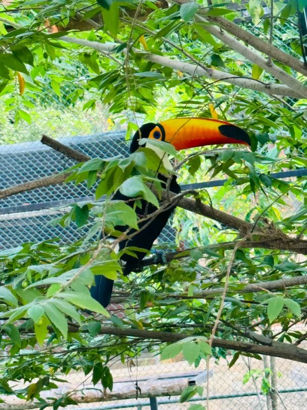 Bird Park Hambantota 01