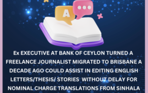 Expert Editing and Translation Services by Former Bank Executive