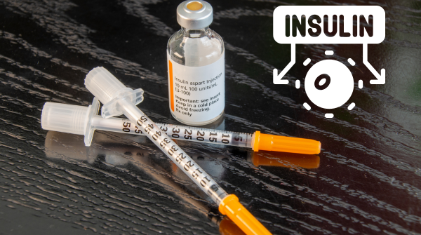 Understanding Insulin Resistance – By Dr Harold Gunatillake