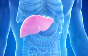 Decoding Liver Enzymes: What You Need to Know – By Dr Harold Gunatillake