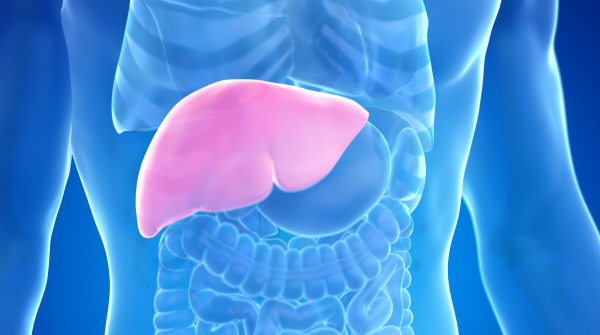 Decoding Liver Enzymes: What You Need to Know – By Dr Harold Gunatillake
