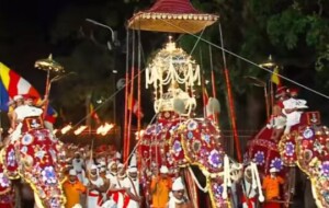 Historical and Cultural Significance of Kandy Perahera